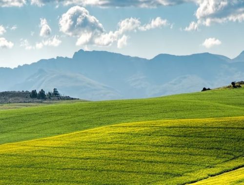 Valorizza il territorio con il tuo progetto di marketing territoriale
